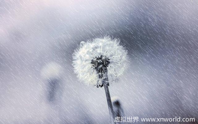 东边日出西边雨，道是无晴却有情 表达的意境