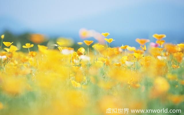 东边日出西边雨，道是无晴却有情 表达的意境