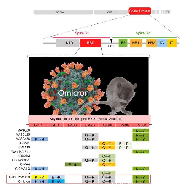 奥密克戎疑似宿主出现！！