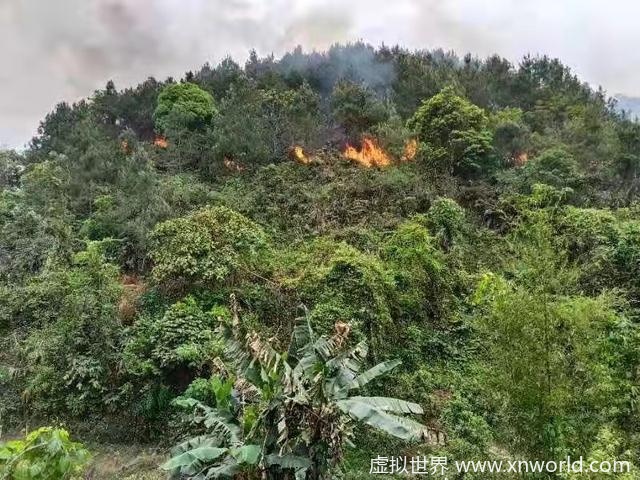 东航MU5735航班坠毁，五个应该知道的真相