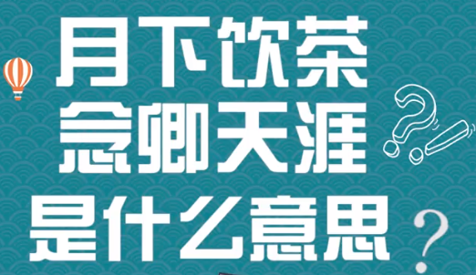 “月下饮茶，念卿天涯”是什么意思？