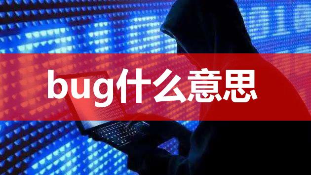 【网络用语】“BUG”是什么意思？