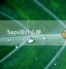 5apu是什么梗？是什么意思？