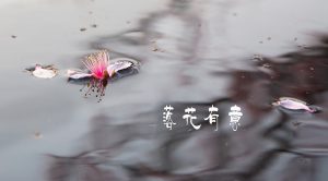 “落花有意随流水，流水无心恋落花”是什么意思？