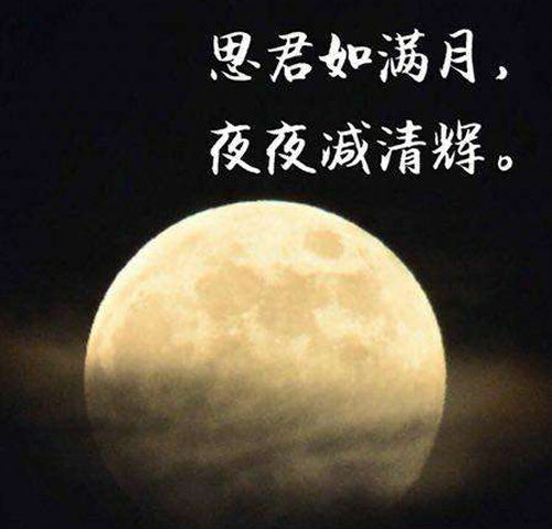 “思君如满月，夜夜减清辉”是什么意思？