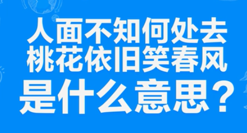 “人面不知何处去，桃花依旧笑春风”是什么意思？