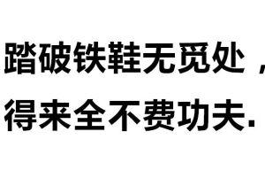 “踏破铁鞋无觅处,得来全不费工夫”是什么意思？