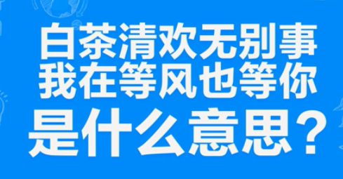 “白茶清欢无别事，我在等风也等你”是什么意思？