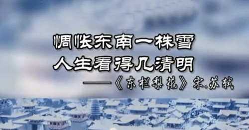 “惆怅东栏一株雪，人生看得几清明”是什么意思？