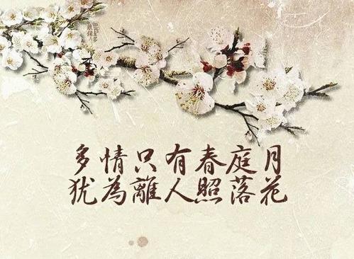 “多情只有春庭月，犹为离人照落花 ”是什么意思？